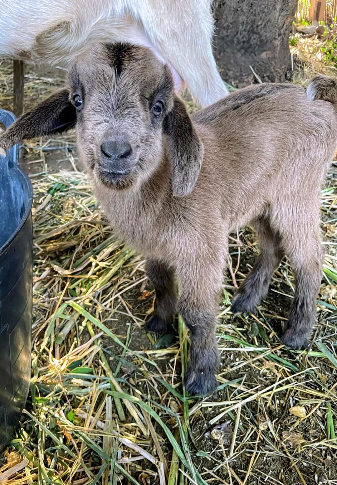 Willa Complejo Rural Del Molino Dorado Facinas Zewnętrze zdjęcie
